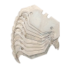 Āķveida asmens celtniecības nazim, kalts tērauds, izliekta mala, 48x18 mm, ABRABORO 10gab