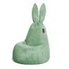 Qubo Daddy Rabbit Basil